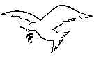 wpe55.jpg (2405 bytes)